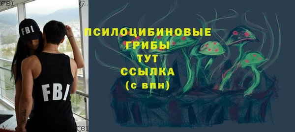 МДМА Новозыбков