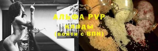 ПСИЛОЦИБИНОВЫЕ ГРИБЫ Абинск