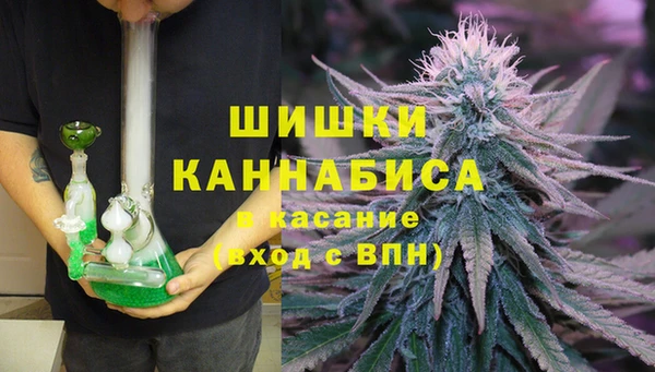 гидропоника Абаза