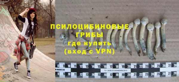гидропоника Абаза